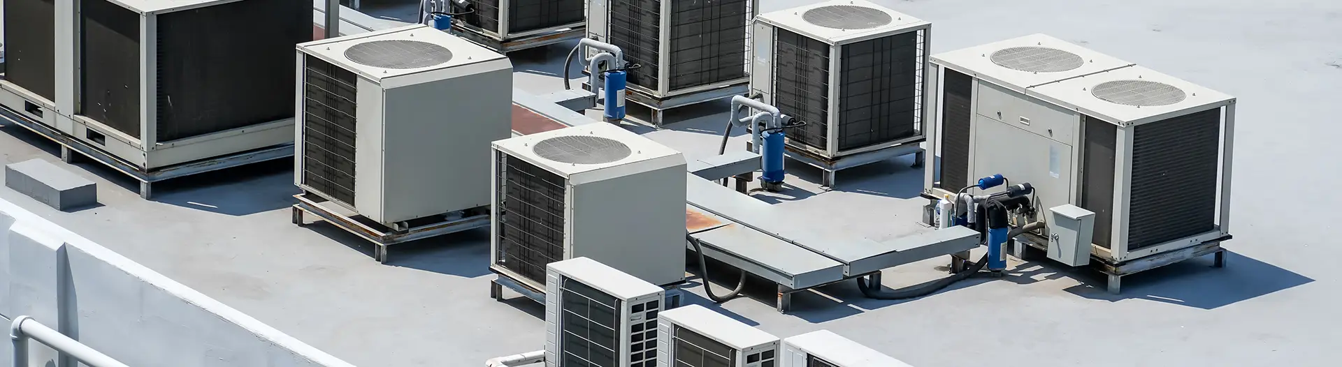 会社情報用画像